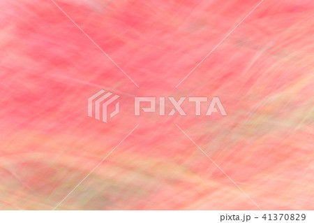 Image of azalea flowers with a motion blur effect Image of azalea flowers with a motion blur effect 41370829