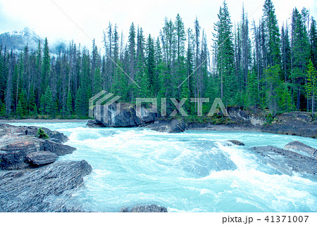 バンフ　ナチュラルブリッジへ流れる川 41371007
