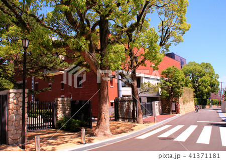 甲南大学 甲南大学 41371181