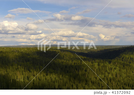 taiga from a bird's-eye view taiga from a bird's-eye view 41372092