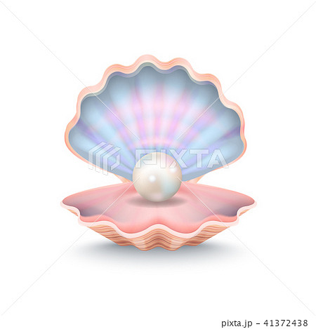 Closeup Of Pearl And Shell Vector Illustrationのイラスト素材