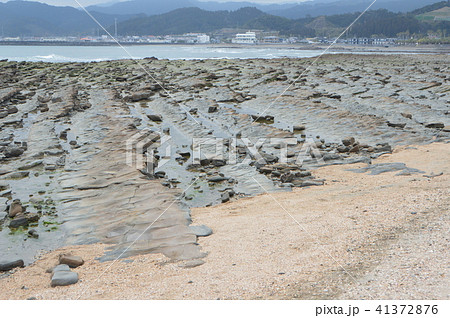 鬼の洗濯岩（青島神社／宮崎県宮崎市青島） 41372876