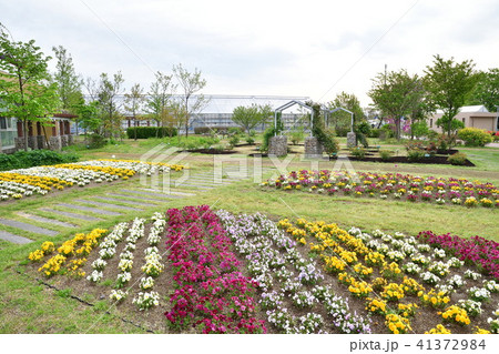 いくとぴあ食花(新潟県) いくとぴあ食花(新潟県) 41372984
