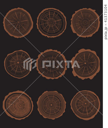 cross section of different trunks cross section of different trunks 41373104