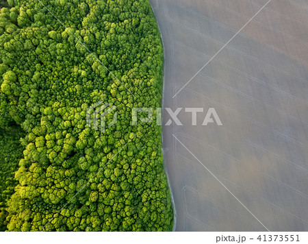 Aerial view from the drone, a bird's eye view to the forest with green spaces and agricultural field Aerial view from the drone, a bird's eye view to the forest with green spaces and agricultural field 41373551