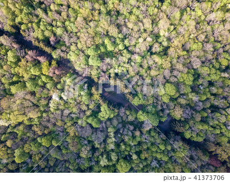 A bird's eye view from drone on diagonally Forest Road. A bird's eye view from drone on diagonally Forest Road. 41373706