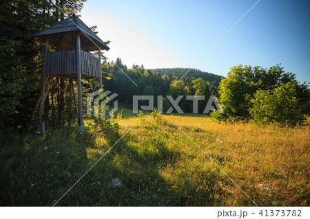 Lookout tower Lookout tower 41373782