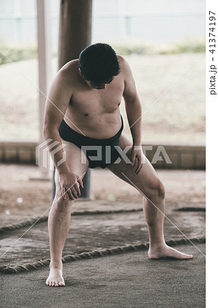 Sumo wrestling 41374197