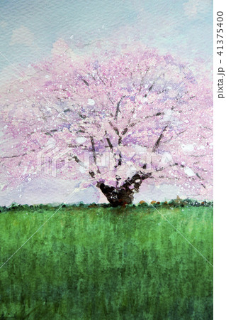 1本桜 手書き スケッチ 1本桜 手書き スケッチ 41375400