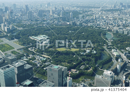 東京 41375404