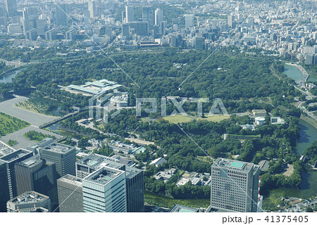 東京 41375405
