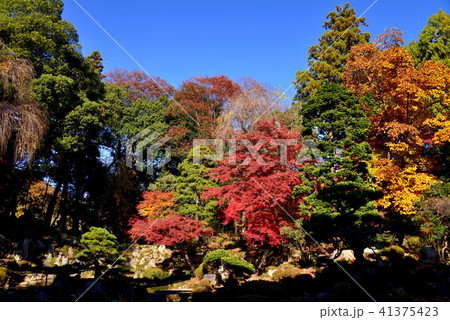 恵林寺庭園の紅葉 恵林寺庭園の紅葉 41375423