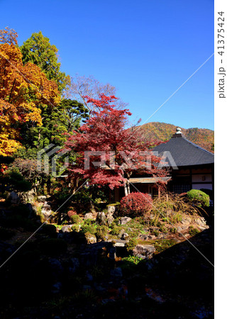 恵林寺庭園の紅葉 恵林寺庭園の紅葉 41375424