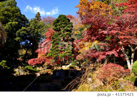 恵林寺庭園の紅葉 恵林寺庭園の紅葉 41375425