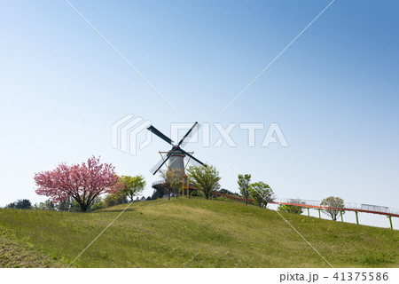 宮城長沼フートピア公園の帆を張って回るオランダ風車とサクラ 宮城長沼フートピア公園の帆を張って回るオランダ風車とサクラ 41375586