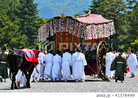 葵祭2018 葵祭2018 41376490