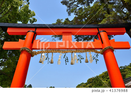 上賀茂神社 41376988