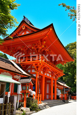 上賀茂神社 上賀茂神社 41376991