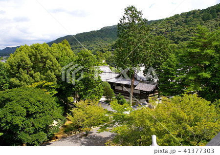 南禅寺三門からの眺望 南禅寺三門からの眺望 41377303