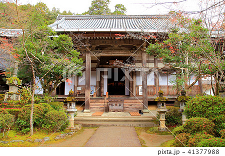 紅葉の名所　栂尾　西明寺 41377988