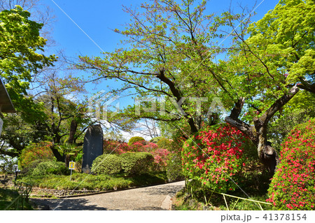 栃木 佐野市の城山公園の写真素材