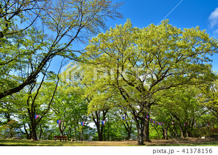 栃木 佐野市の城山公園の写真素材