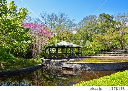 栃木 佐野市の城山公園の写真素材