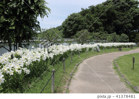 池田城跡公園 41378481