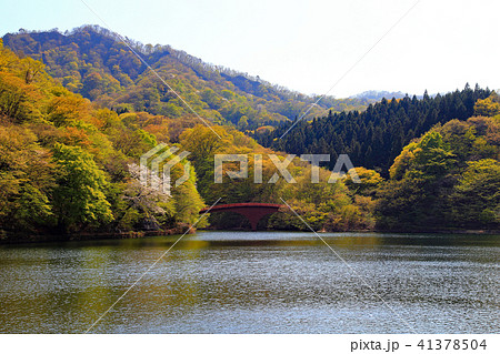 静寂　春の碓氷湖 41378504