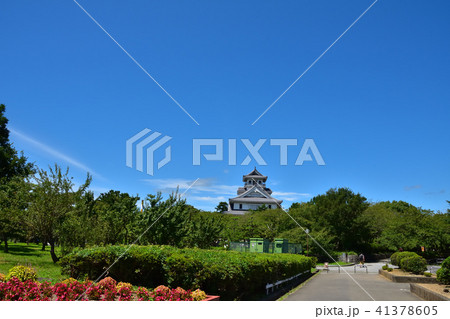 滋賀　長浜市の豊公園と長浜城 41378605