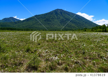 男体山、大真名子山と戦場ヶ原のワタスゲ 41378619