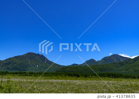 大真名子山、小真名子山、太郎山と戦場ヶ原のワタスゲ 大真名子山、小真名子山、太郎山と戦場ヶ原のワタスゲ 41378635