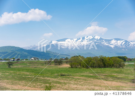 残雪の栗駒山と高原の牧場 41378646