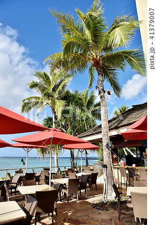 ハワイの休日 41379007