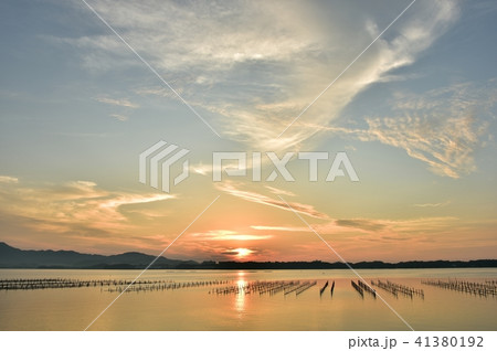 牡蠣棚と朝日　夏の終わり 41380192