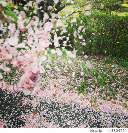 たたずむ月 41380422