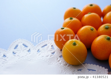 きんかん きんかん 41380521