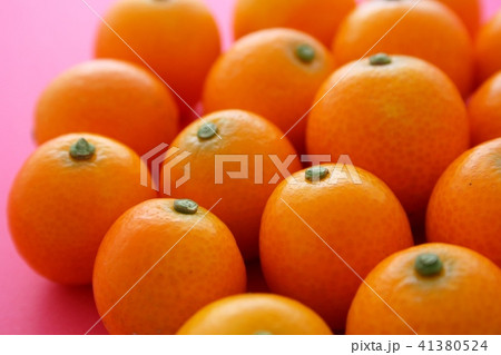 きんかん きんかん 41380524