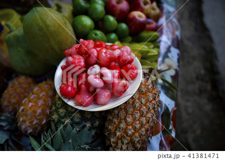 Jambu Wax Apple, Syzygium samarangense Pineapple Jambu Wax Apple, Syzygium samarangense Pineapple 41381471