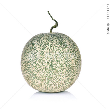 cantaloupe melon isolated on white background 41381473