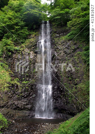 鳥海山麓、玉簾の滝 41381627