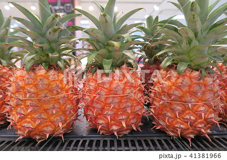 パイナップル パイナップル 41381966