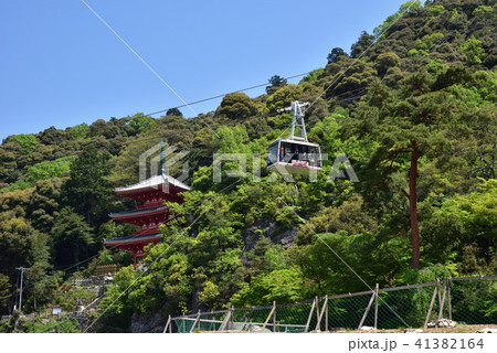 岐阜県岐阜市 岐阜公園 金華山ロープウェイと三重塔 岐阜県岐阜市 岐阜公園 金華山ロープウェイと三重塔 41382164