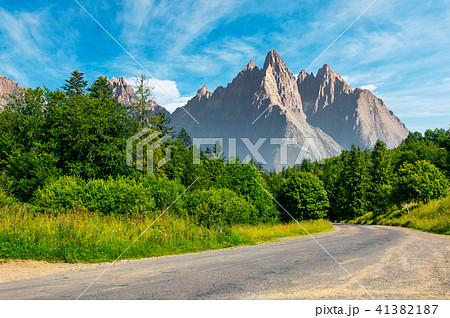 road through forest in to the mountains 41382187