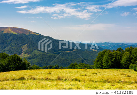 grassy meadow on top of a hill 41382189