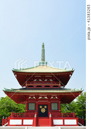 横浜・孝道山 41383265