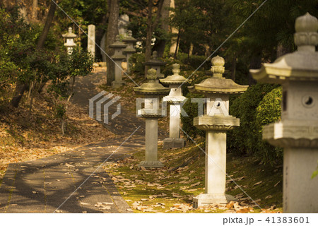 参道イメージ　夕暮れ時 41383601