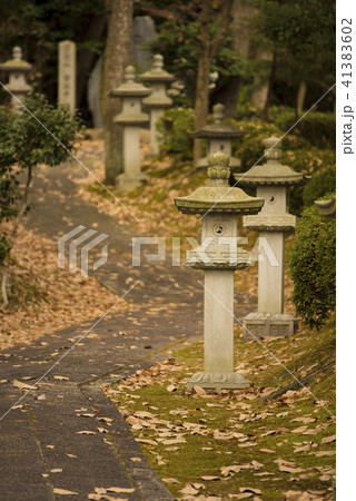 参道イメージ　夕暮れ時 41383602