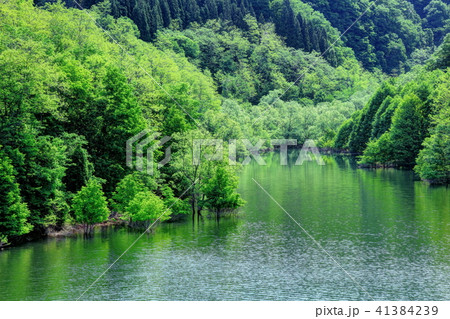 新緑の虹の湖 41384239