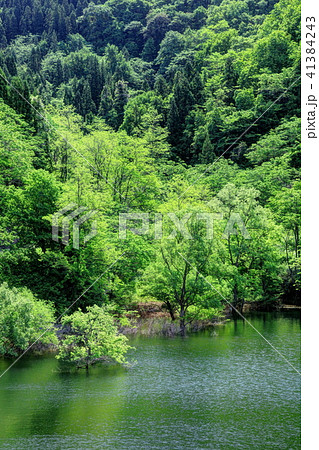 新緑の虹の湖 41384243